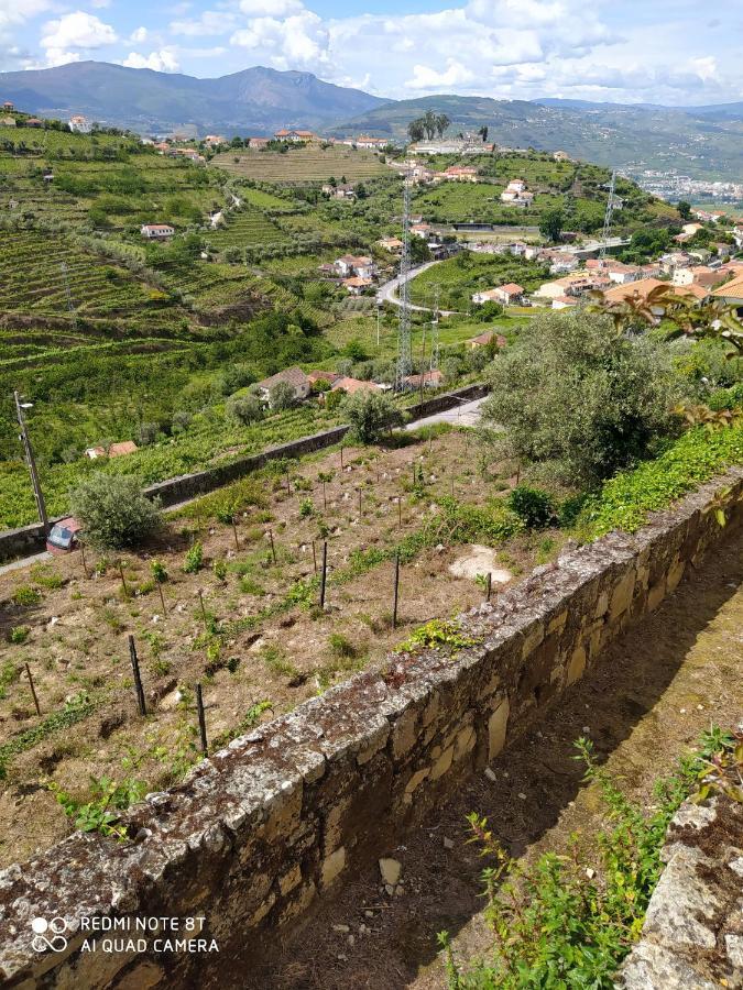 Quinta De Penelas Lamego Exteriör bild