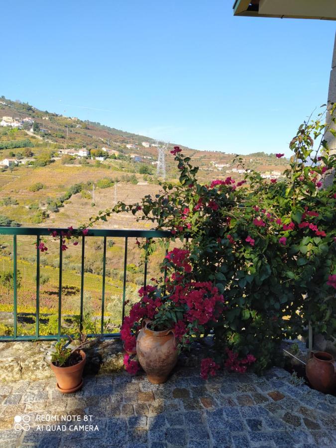 Quinta De Penelas Lamego Exteriör bild