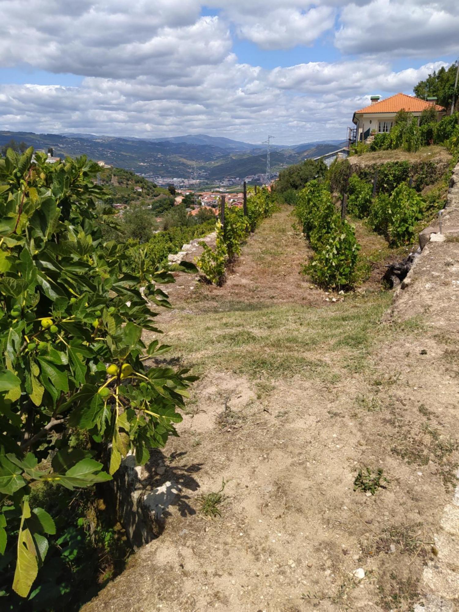 Quinta De Penelas Lamego Exteriör bild